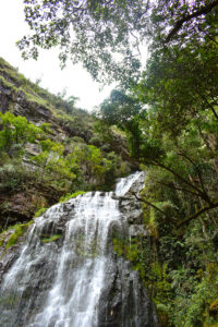 Reserva Natural y Cascadas Los Tucanes -10