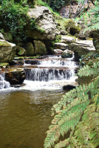 Reserva Natural y Cascadas Los Tucanes -11