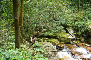 Reserva Natural y Cascadas Los Tucanes -19